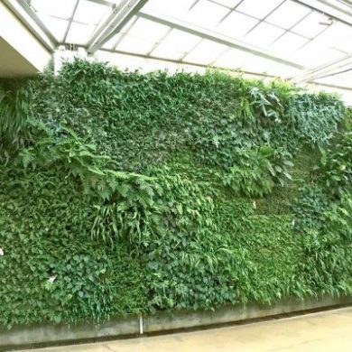 Green wall at Longwood Gardens