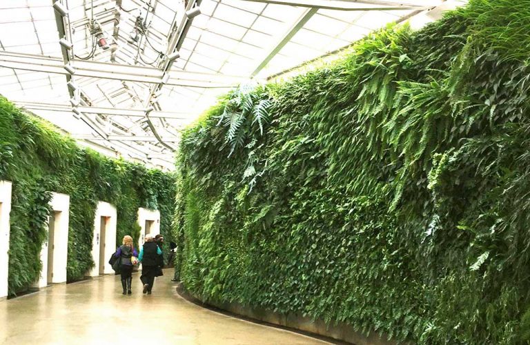 Green wall at Longwood Gardens Kelly Mericle Design